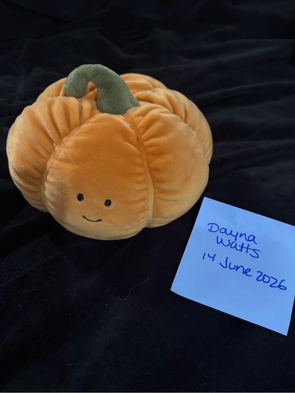 EUC Retired Vivacious Pumpkin